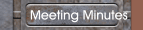 Meeting Minutes
