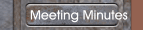 Meeting Minutes